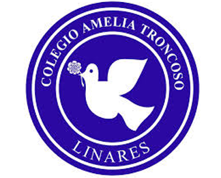 Colegio Amelia Troncoso, Linares